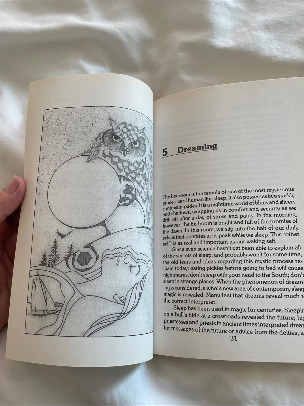 The Magical Household (Blue) - Scott Cunningham & David Harrington